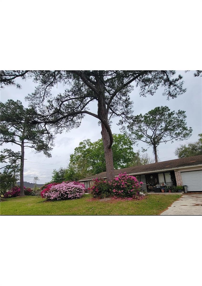 Image 24 of 39 For 356 Evergreen Lane