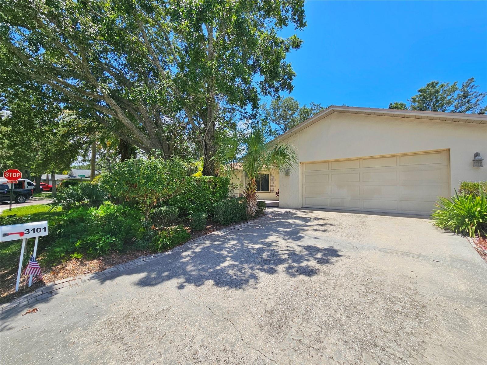 Details for 3101 Egret Terrace, SAFETY HARBOR, FL 34695