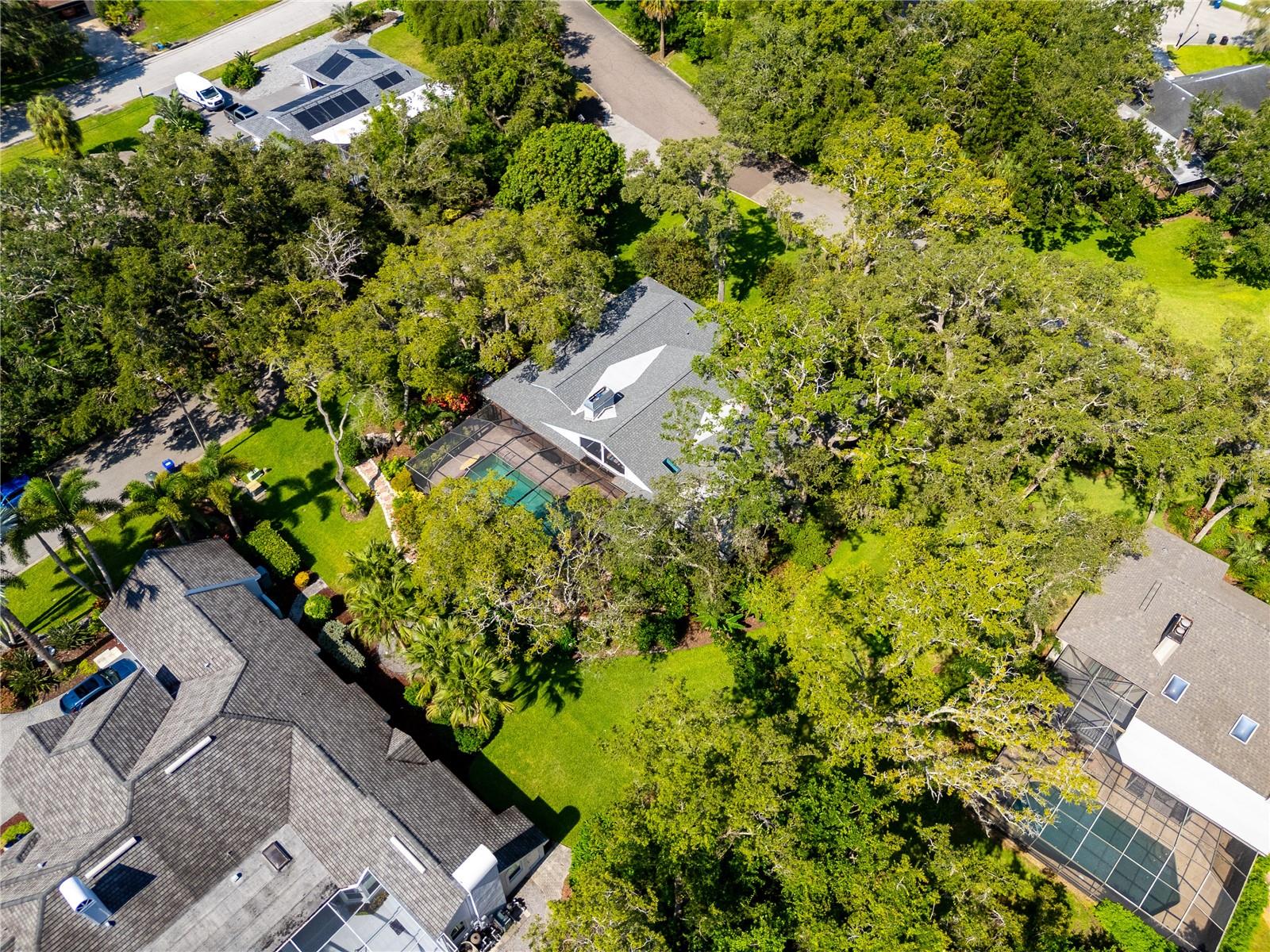 Image 7 of 42 For 2401 Palm Boulevard