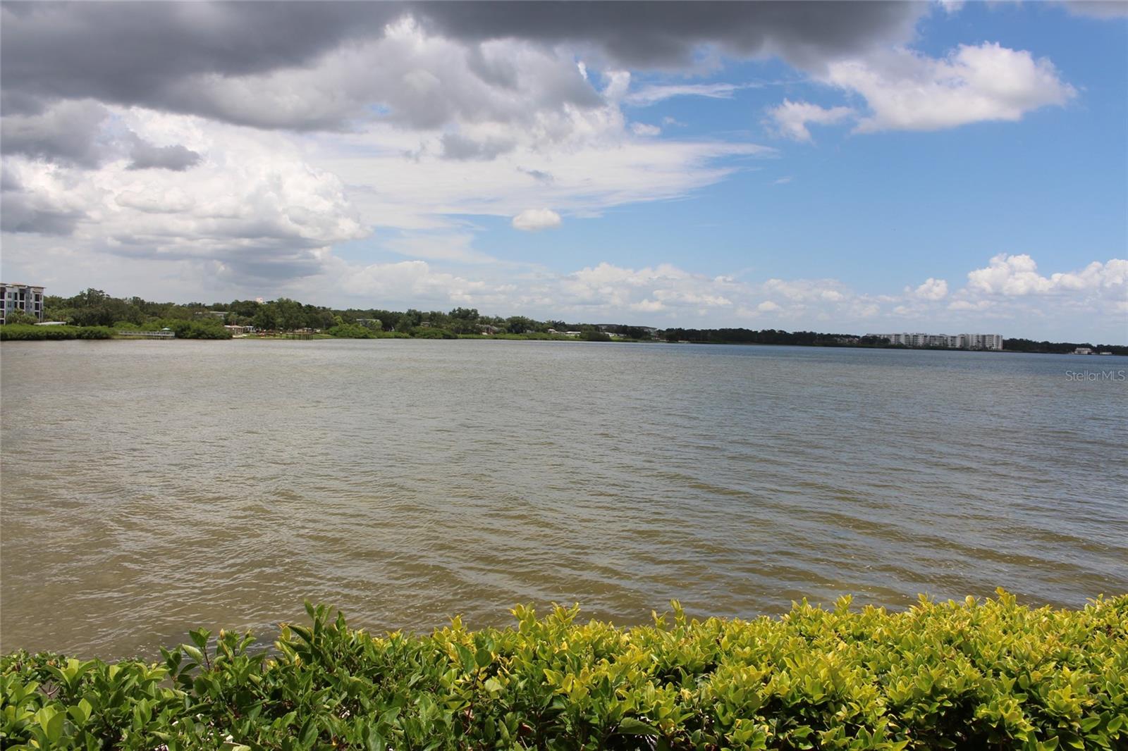 Details for 19029 Us Highway 19 N 16c, CLEARWATER, FL 33764