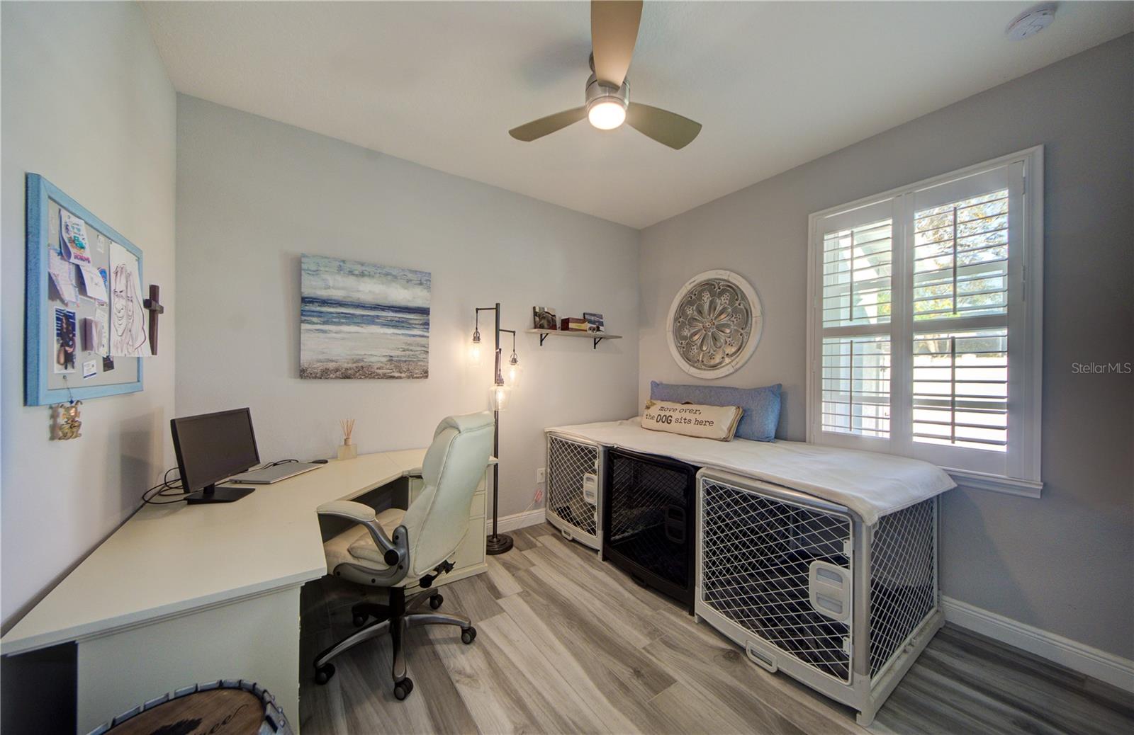 Image 30 of 47 For 817 Wilkie Street