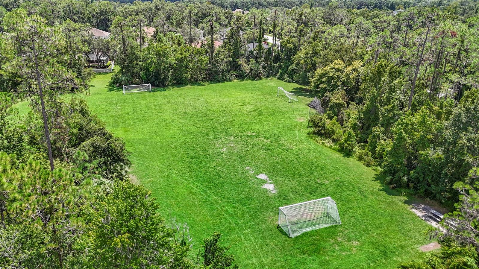 Image 61 of 64 For 26914 Stillbrook Drive