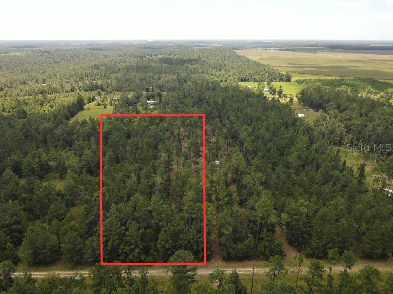 Details for  Dixon Court , LEE, FL 32059