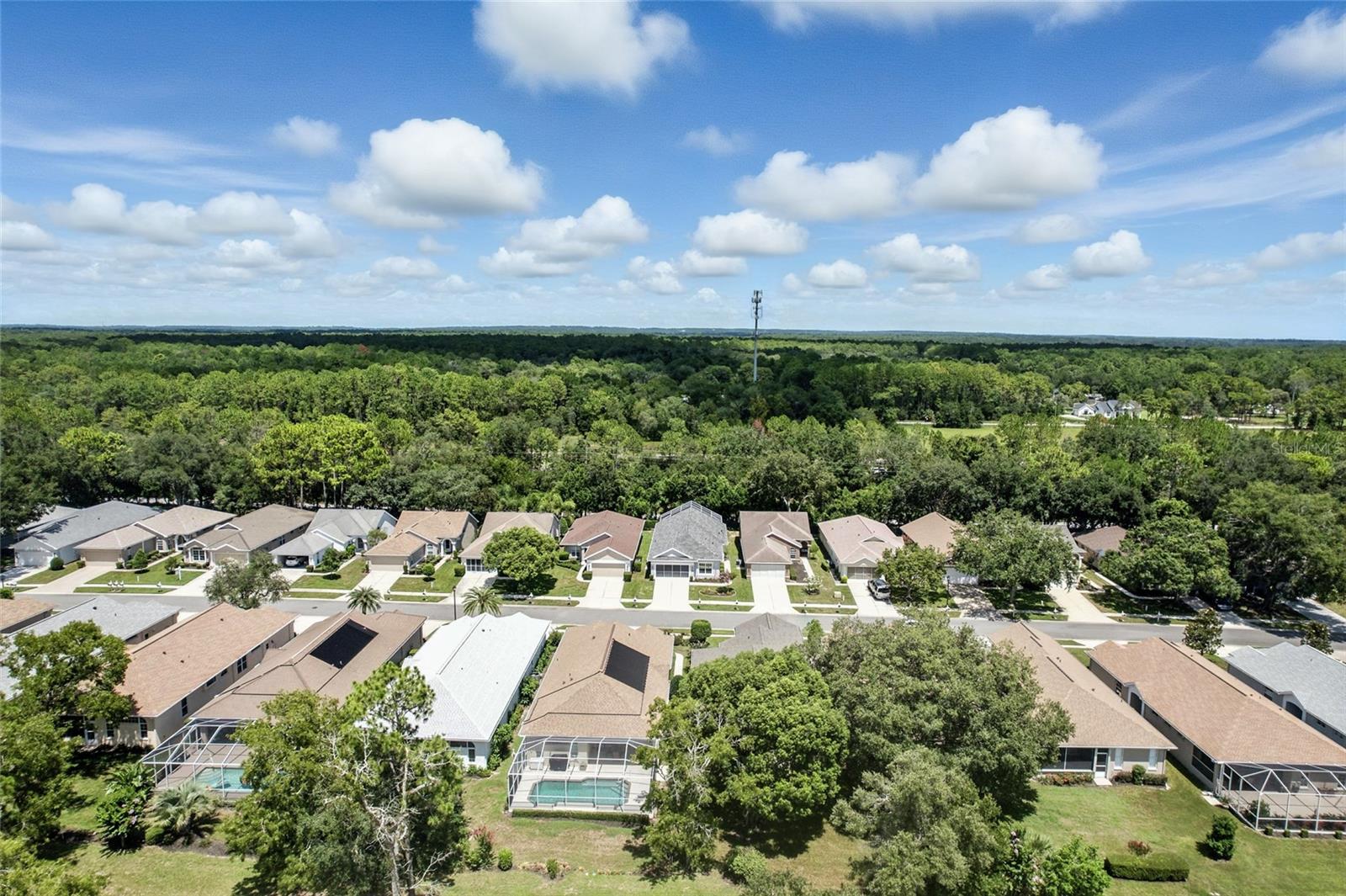 Listing photo id 37 for 5466 Legend Hills Lane