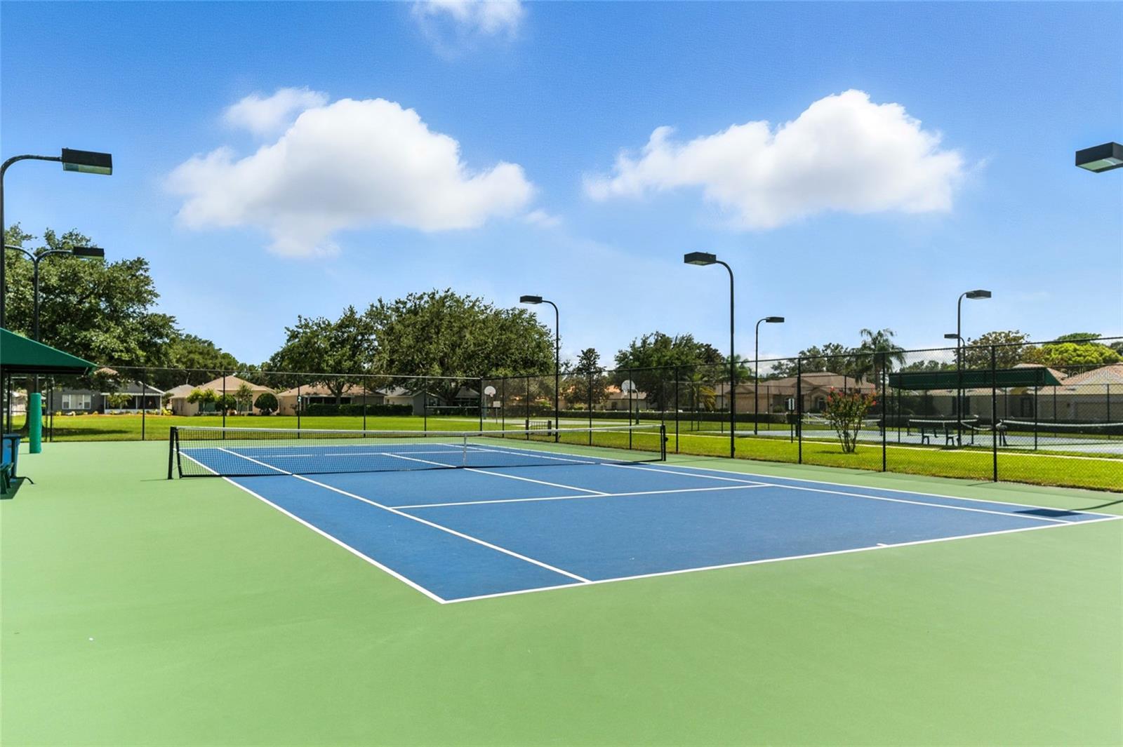Listing photo id 51 for 5466 Legend Hills Lane