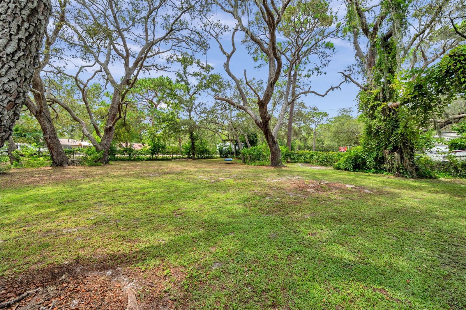 Image 4 of 72 For 11324 Black Walnut Street