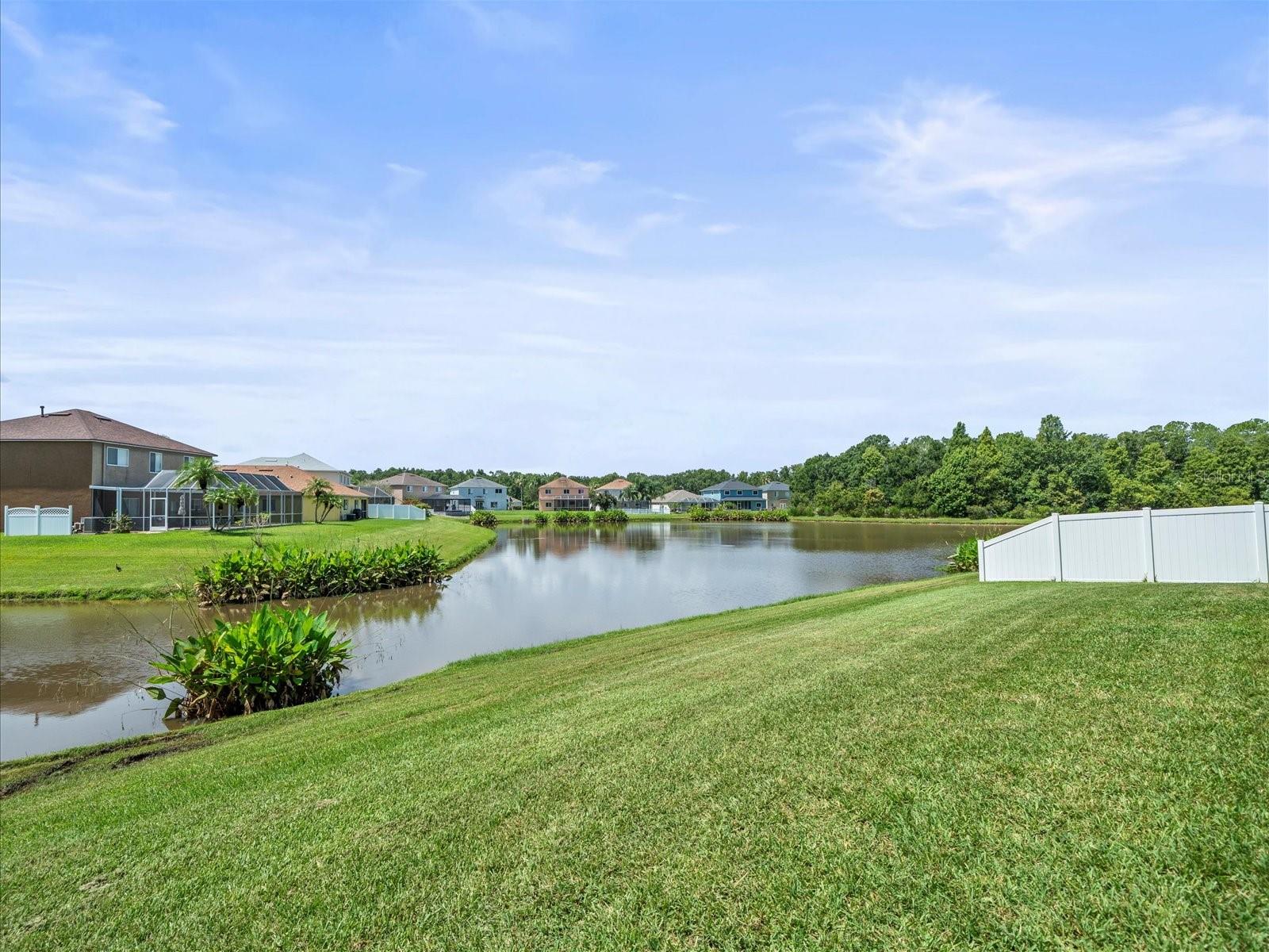Image 59 of 71 For 25452 Geddy Drive