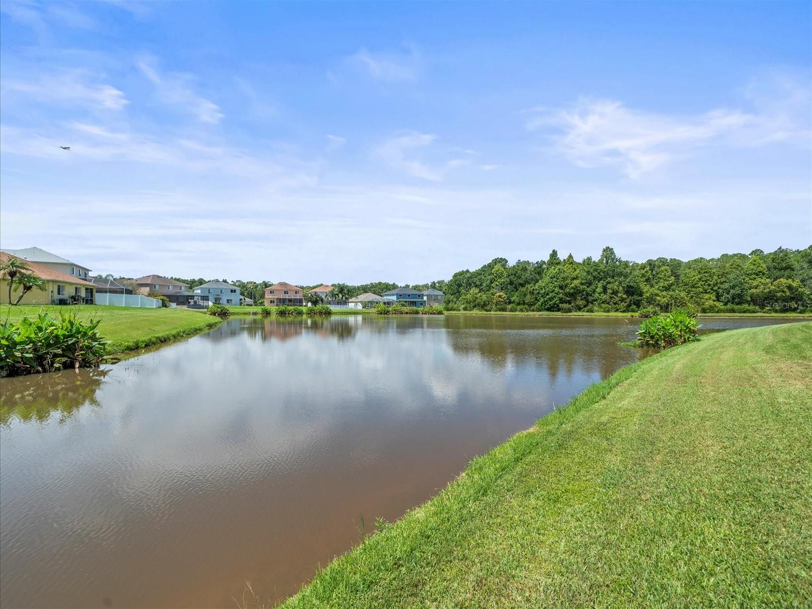 Image 60 of 71 For 25452 Geddy Drive