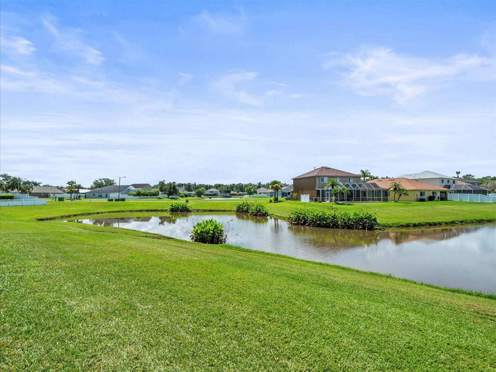 Image 61 of 71 For 25452 Geddy Drive