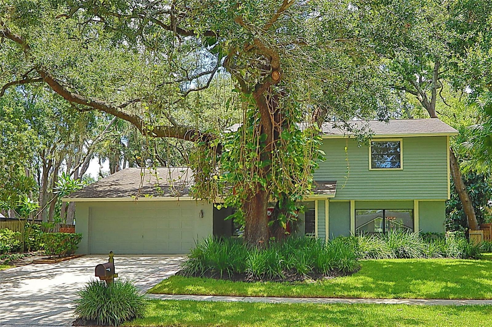 Details for 16813 Rolling Rock Drive, TAMPA, FL 33618