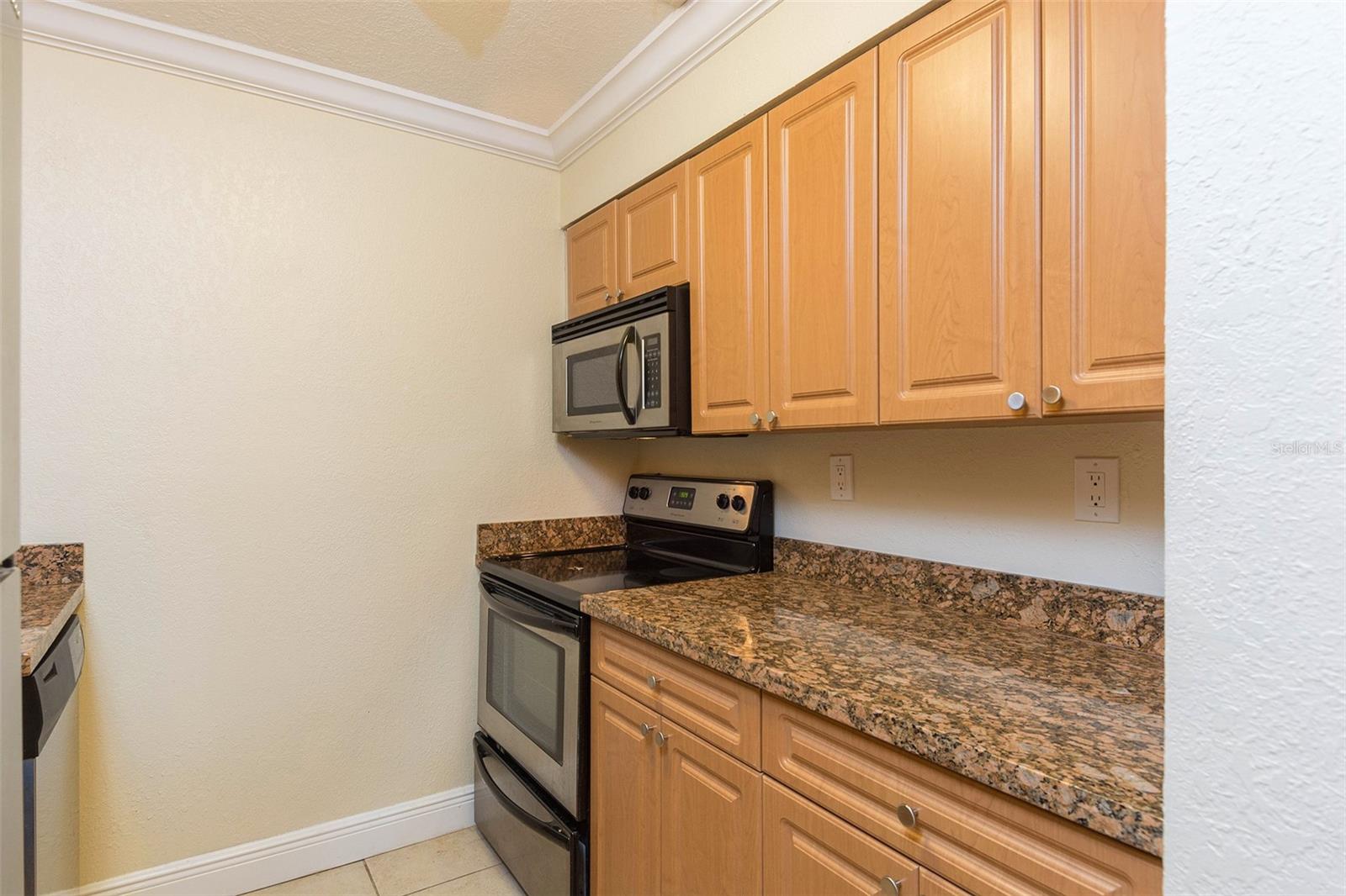 Image 22 of 29 For 5221 Bayshore Boulevard 42