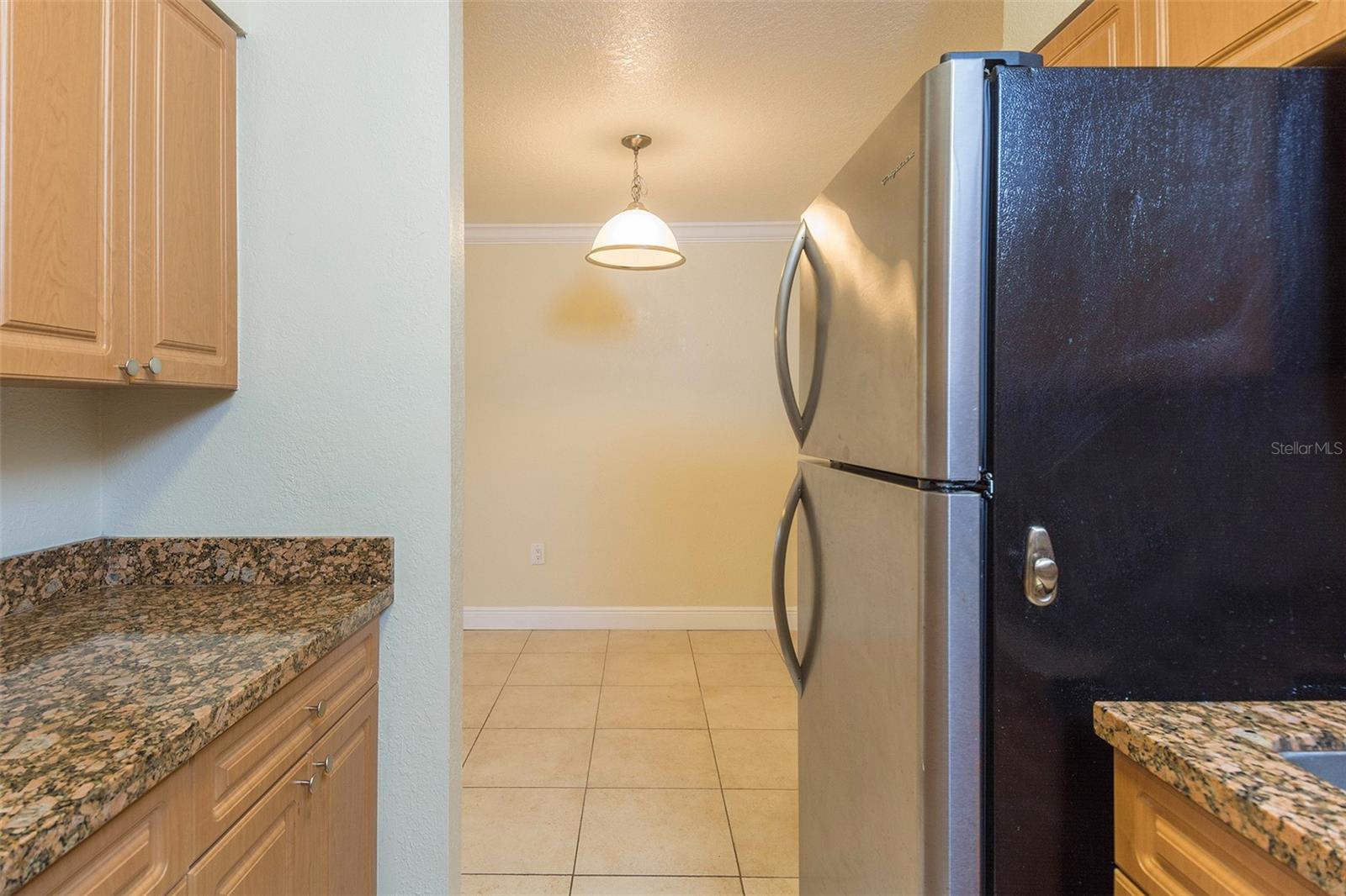 Image 25 of 29 For 5221 Bayshore Boulevard 42