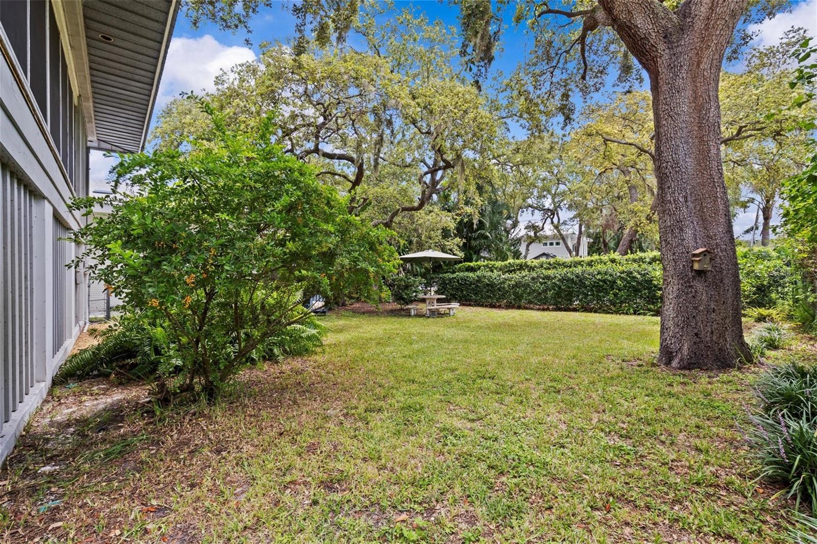 Image 50 of 72 For 600 Mayo Street