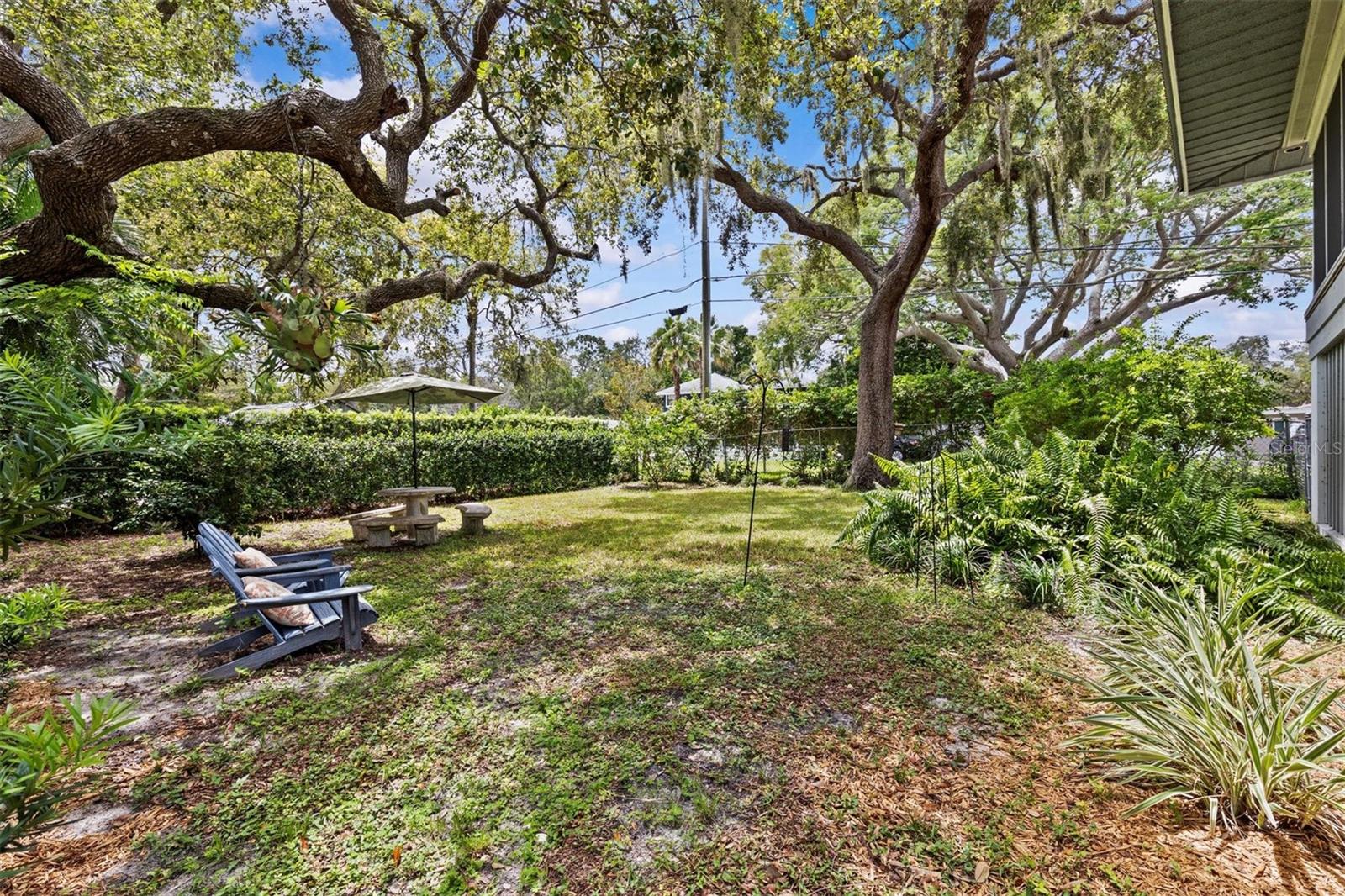 Image 9 of 72 For 600 Mayo Street
