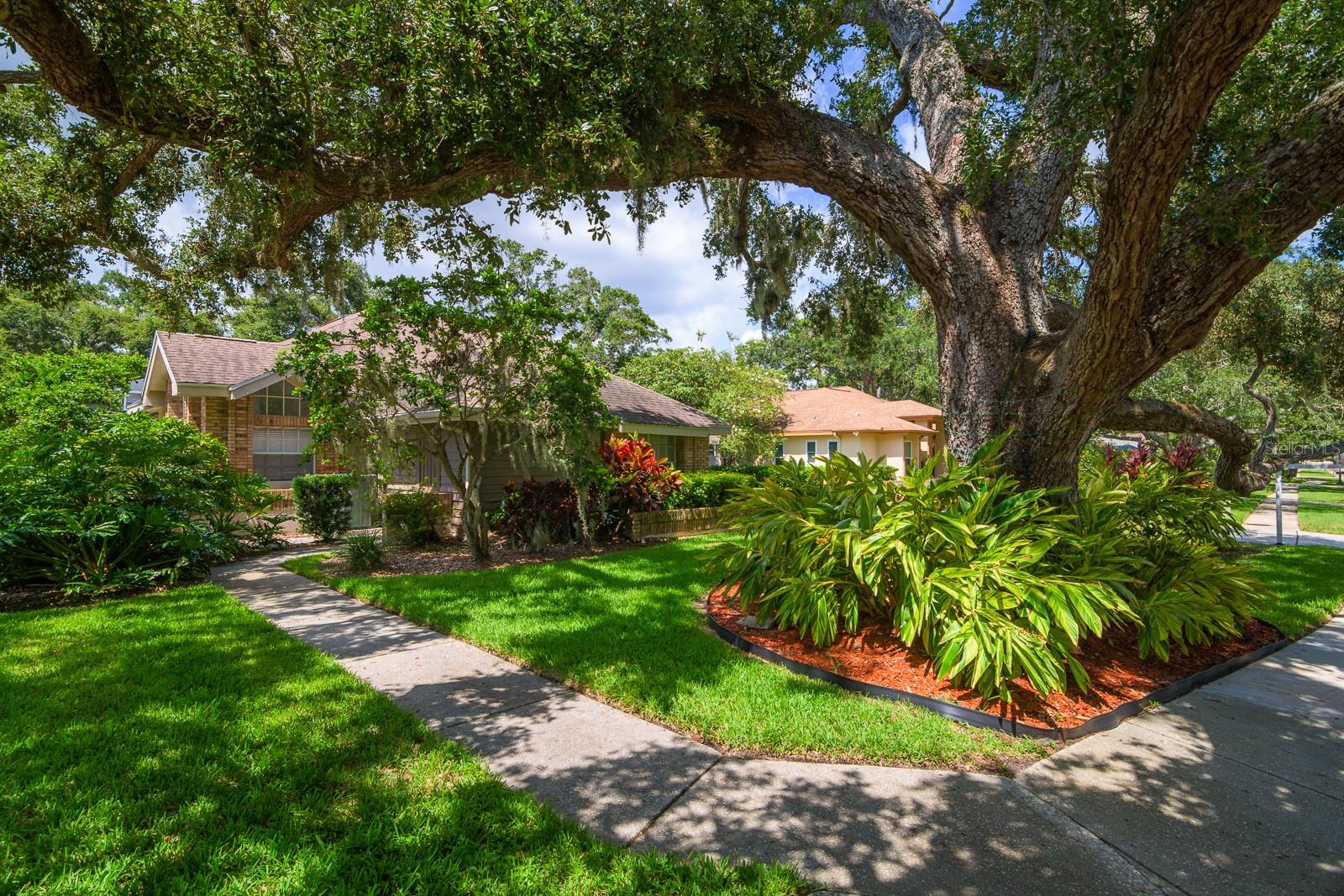 Image 47 of 57 For 3046 Homestead Oaks Drive