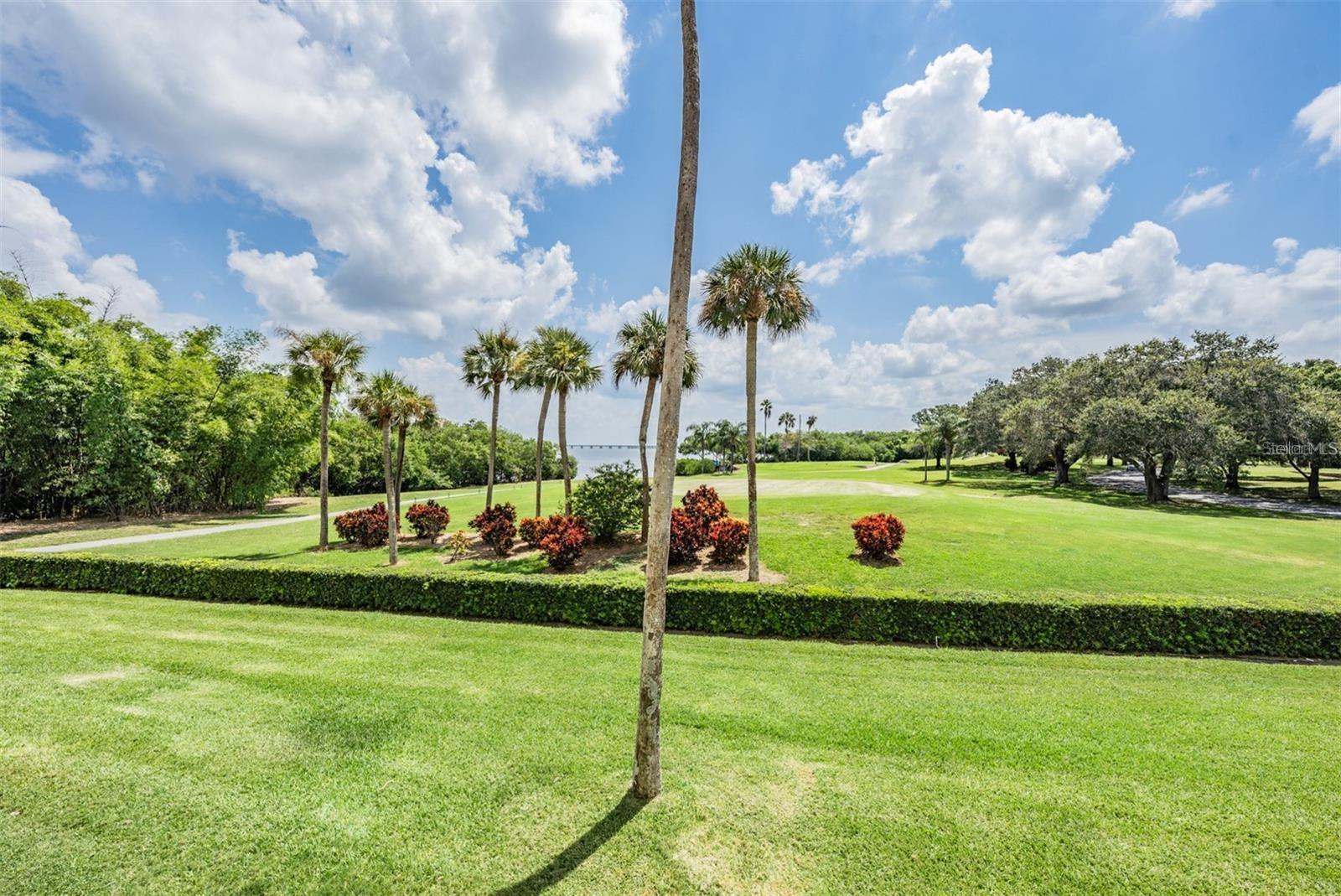 Details for 2616 Cove Cay Drive 203, CLEARWATER, FL 33760