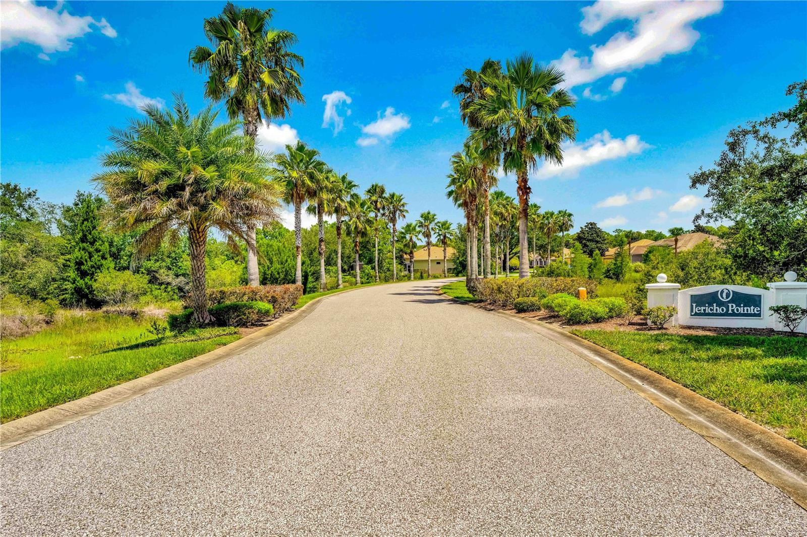 Listing photo id 46 for 9313 Gentle Ben Court