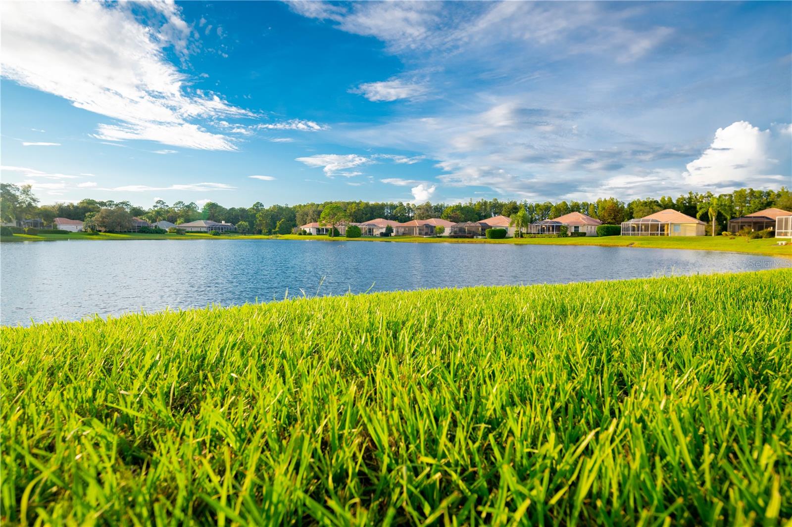 Listing photo id 50 for 9313 Gentle Ben Court