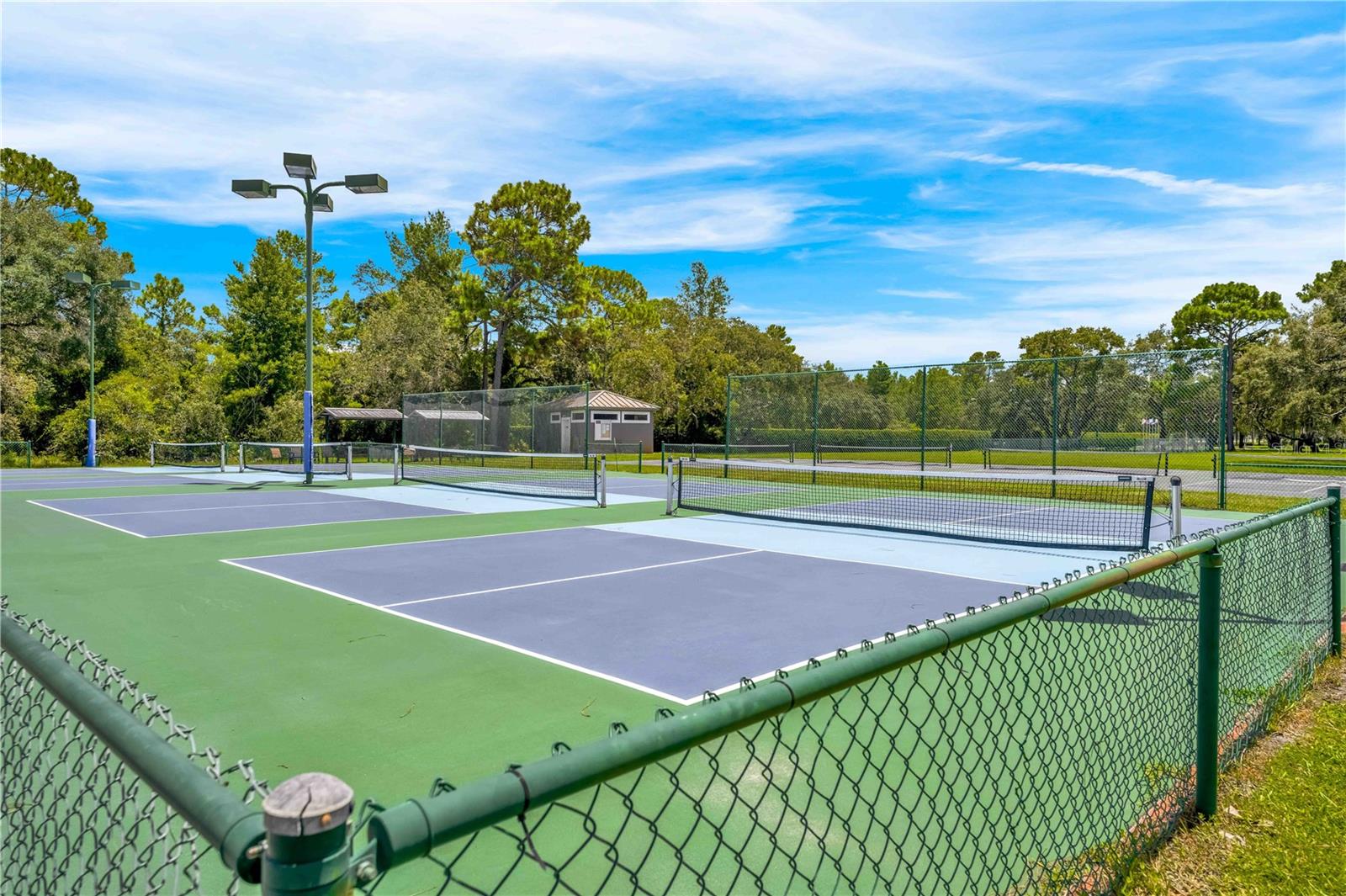 Listing photo id 63 for 9313 Gentle Ben Court