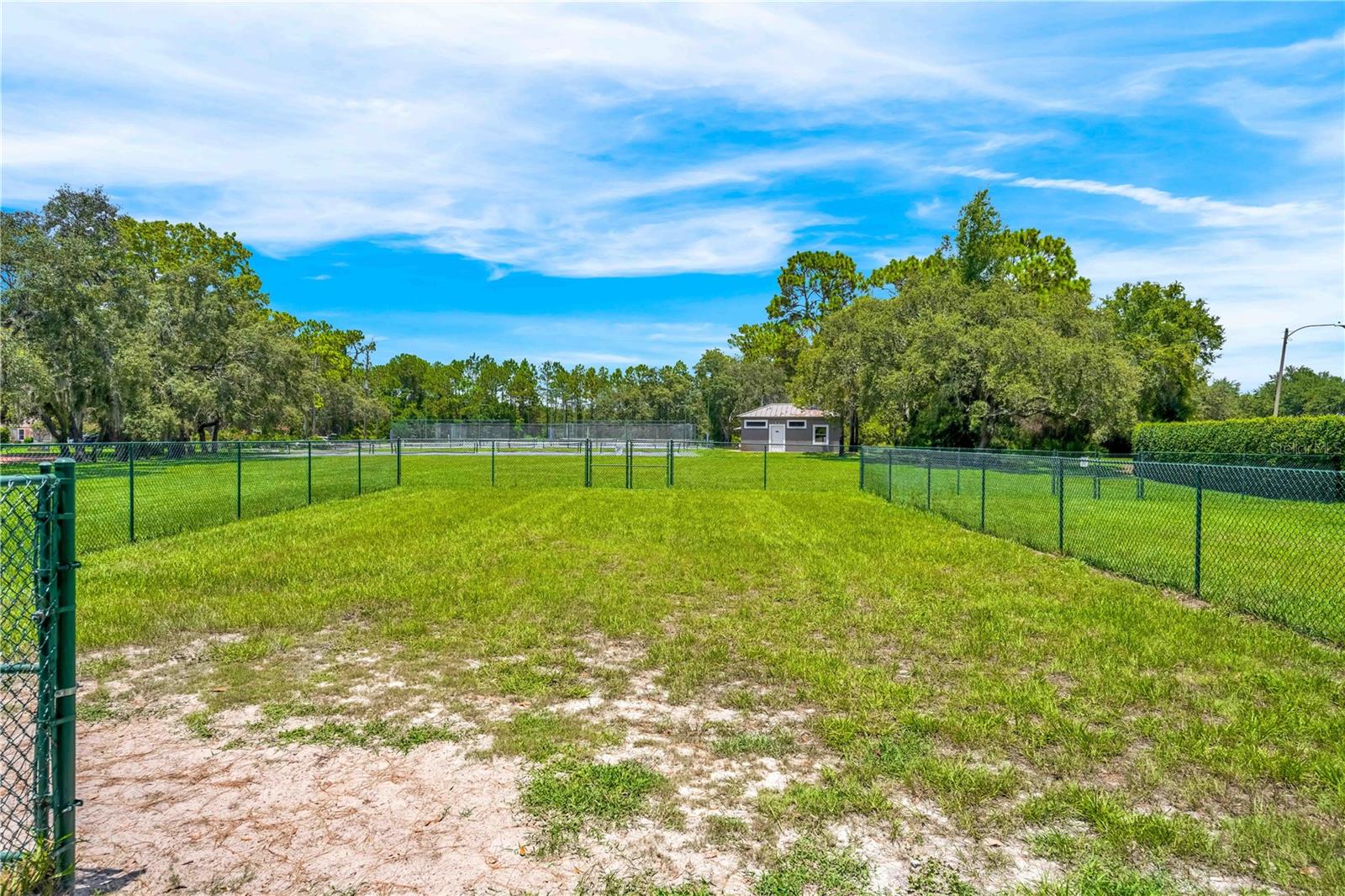 Listing photo id 72 for 9081 Wade Street
