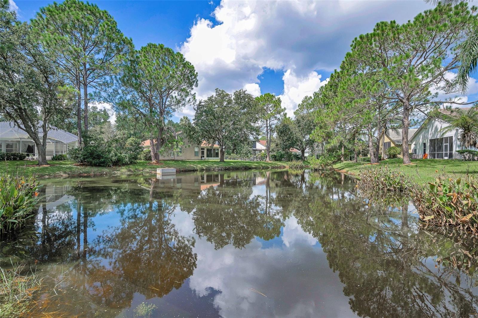 Image 60 of 93 For 10530 Canary Isle Drive