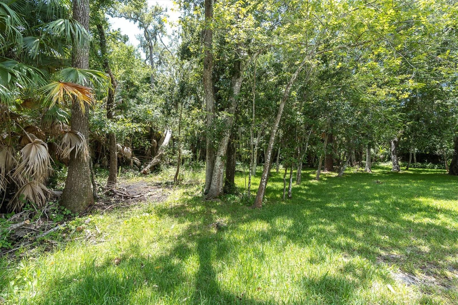 Listing photo id 35 for 300 Cascade Lane