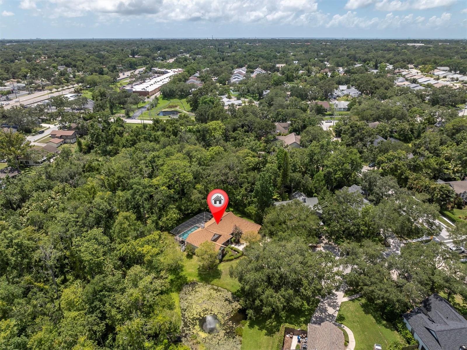 Listing photo id 38 for 300 Cascade Lane