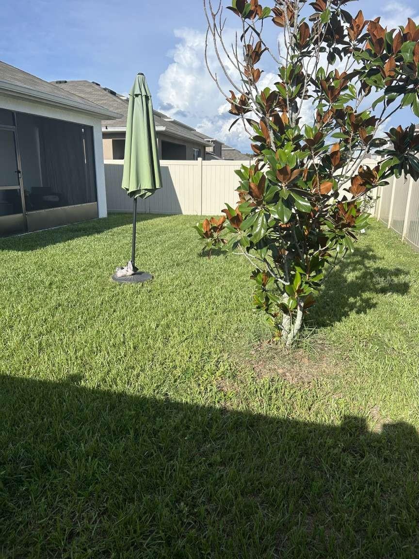 Image 3 of 15 For 16122 Soft Fern Trace