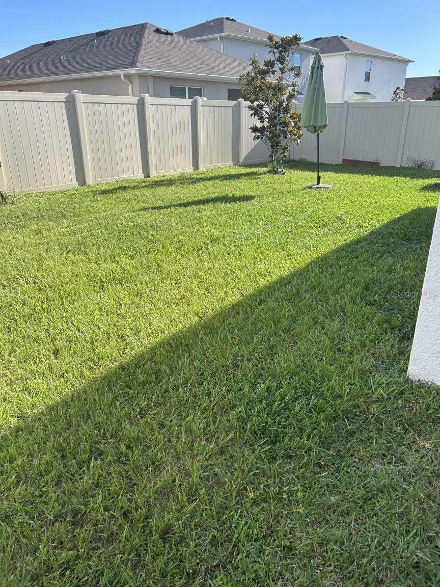 Image 4 of 15 For 16122 Soft Fern Trace