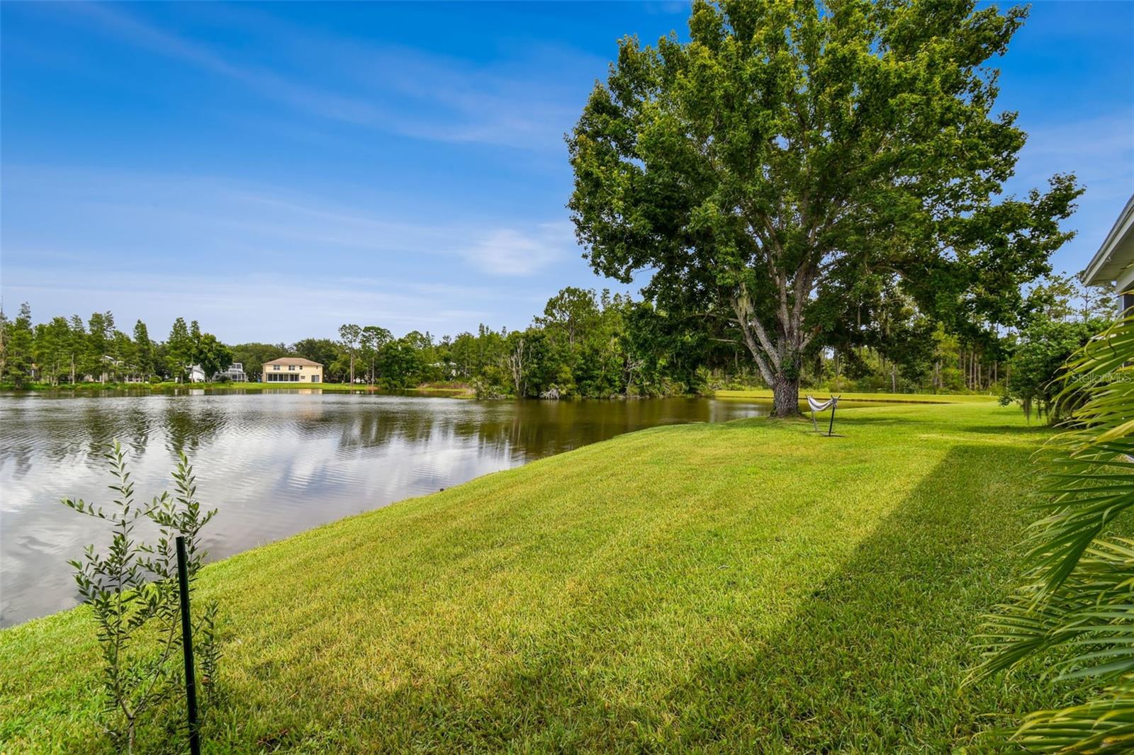 Image 63 of 100 For 17737 Esprit Drive
