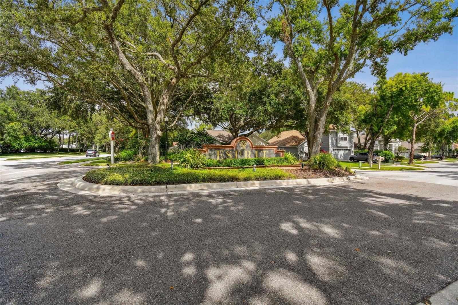 Image 66 of 100 For 17737 Esprit Drive