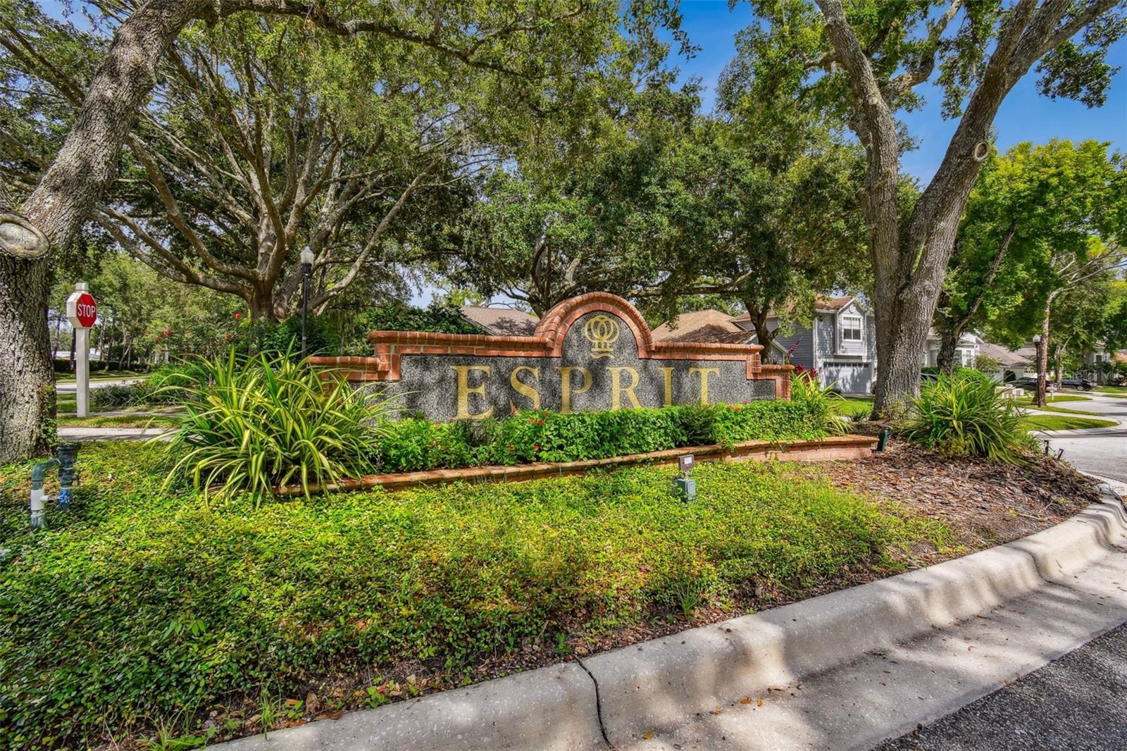 Image 67 of 100 For 17737 Esprit Drive