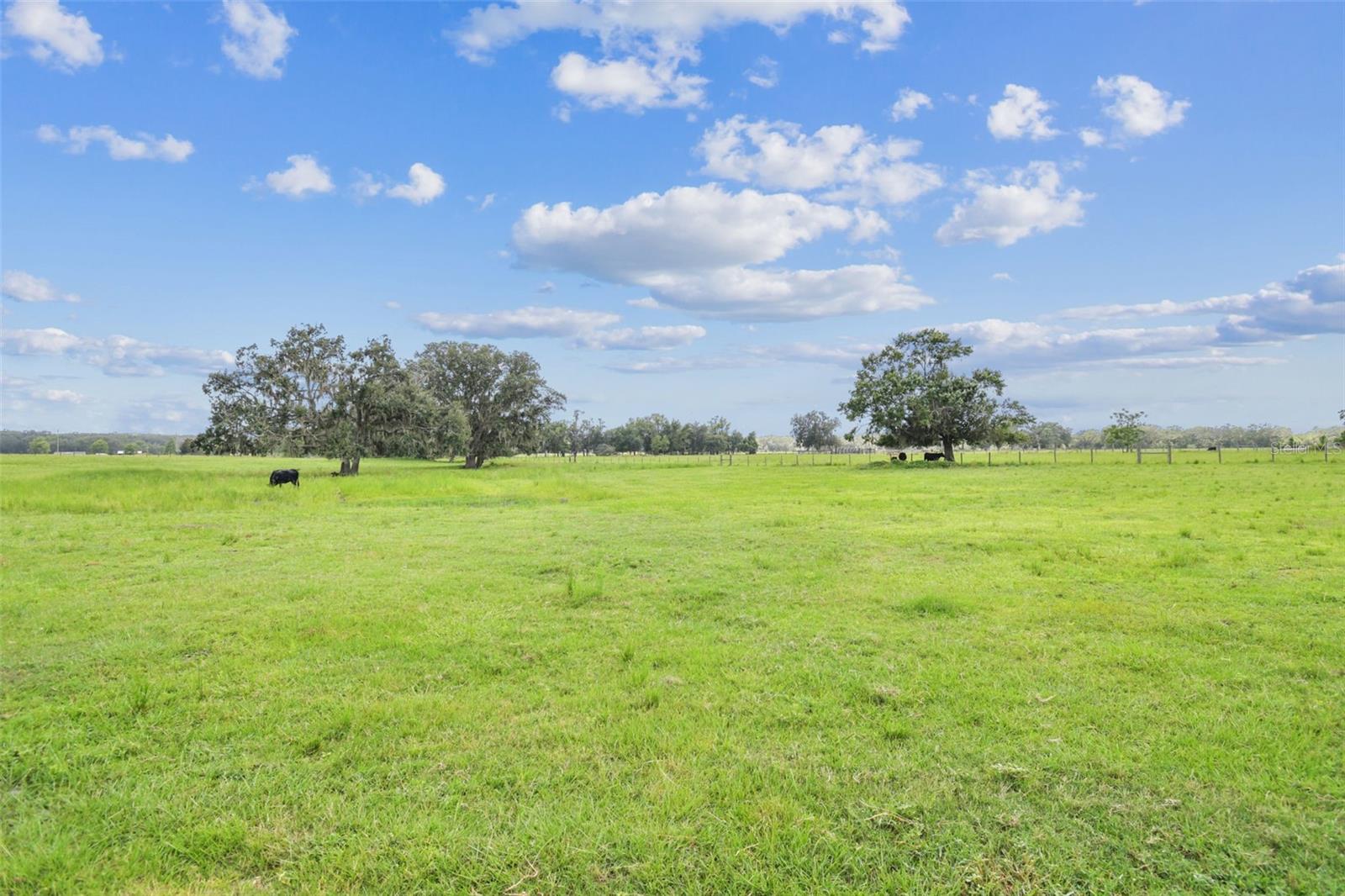 Image 65 of 98 For 30400 Darby Road