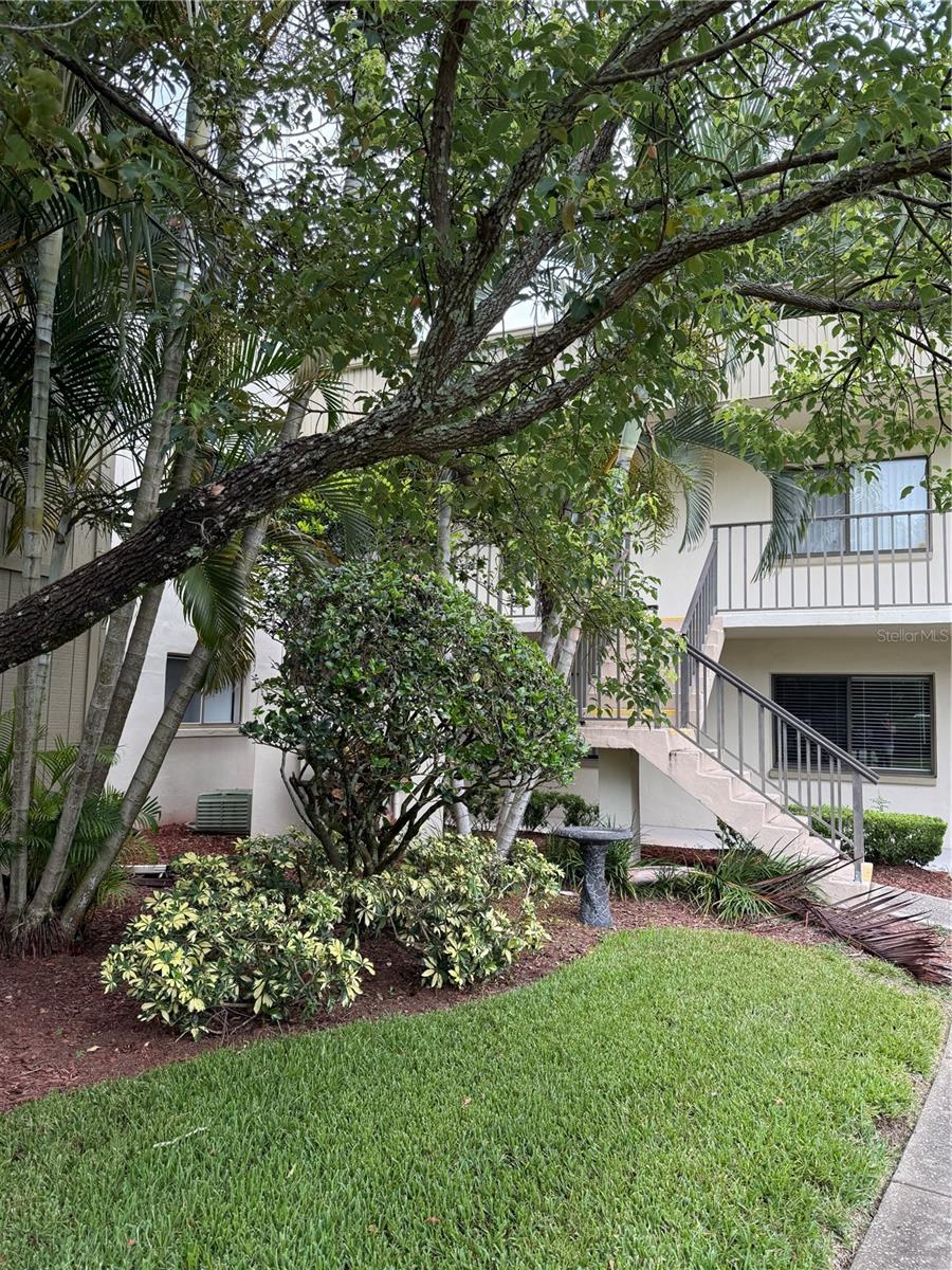Details for 3300 Fox Chase Circle N 232, PALM HARBOR, FL 34683