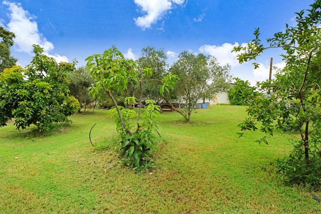 Image 21 of 26 For 2604 Trapnell Road