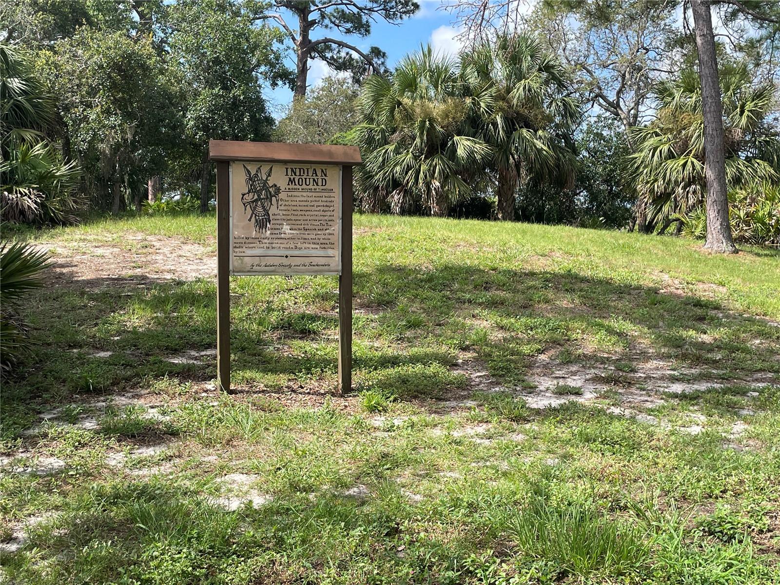 Listing photo id 31 for 1338 Persimmon Drive