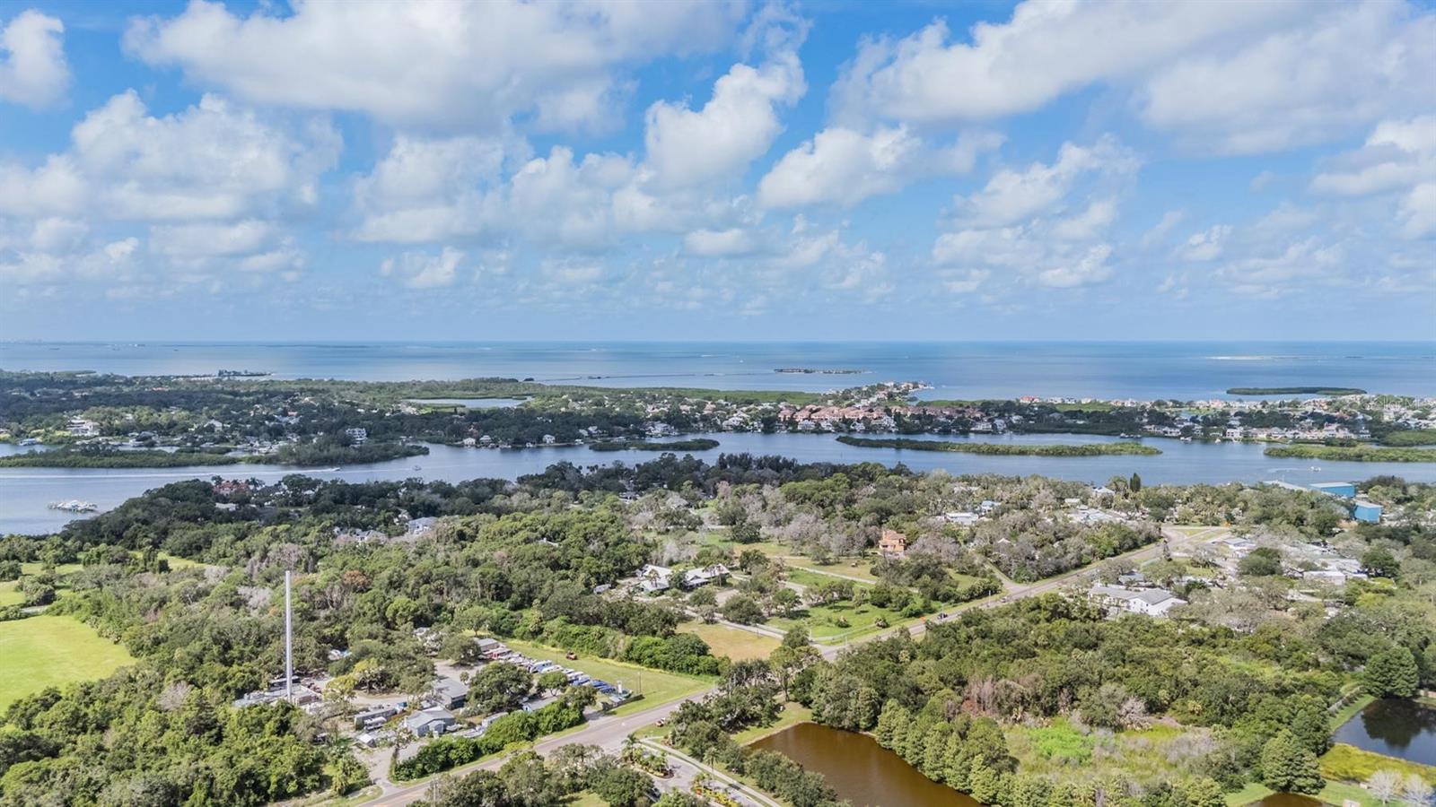 Listing photo id 36 for 1338 Persimmon Drive