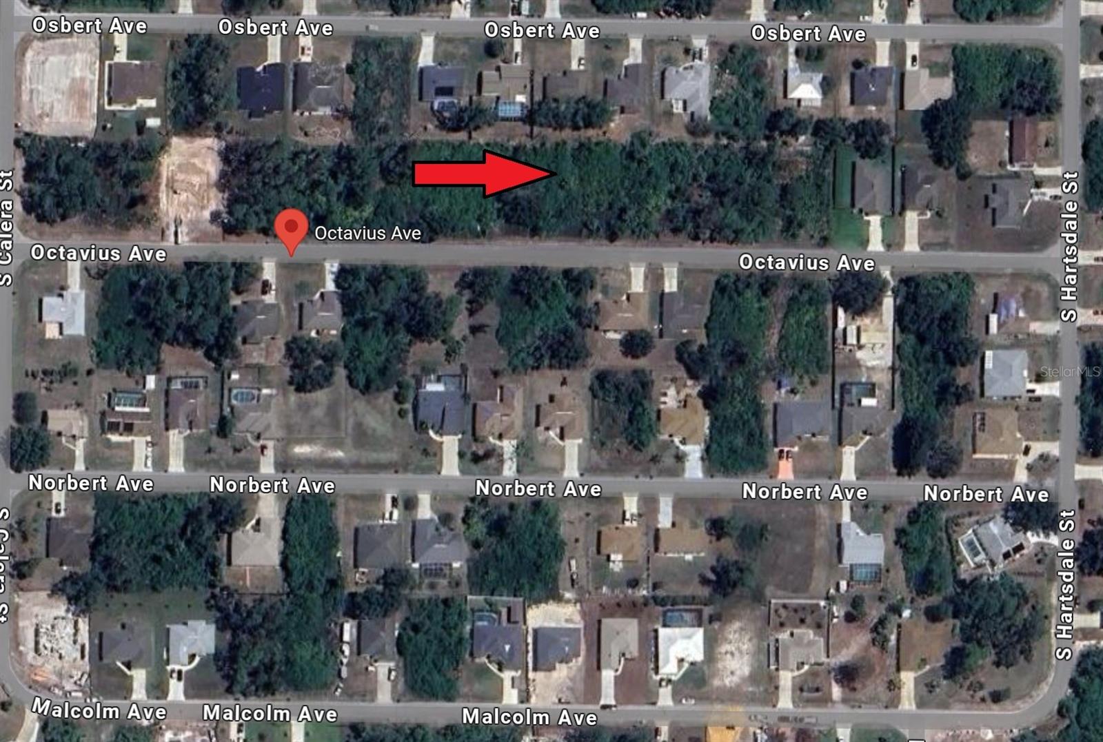 Image 2 of 5 For 0973169410 Octavius Avenue