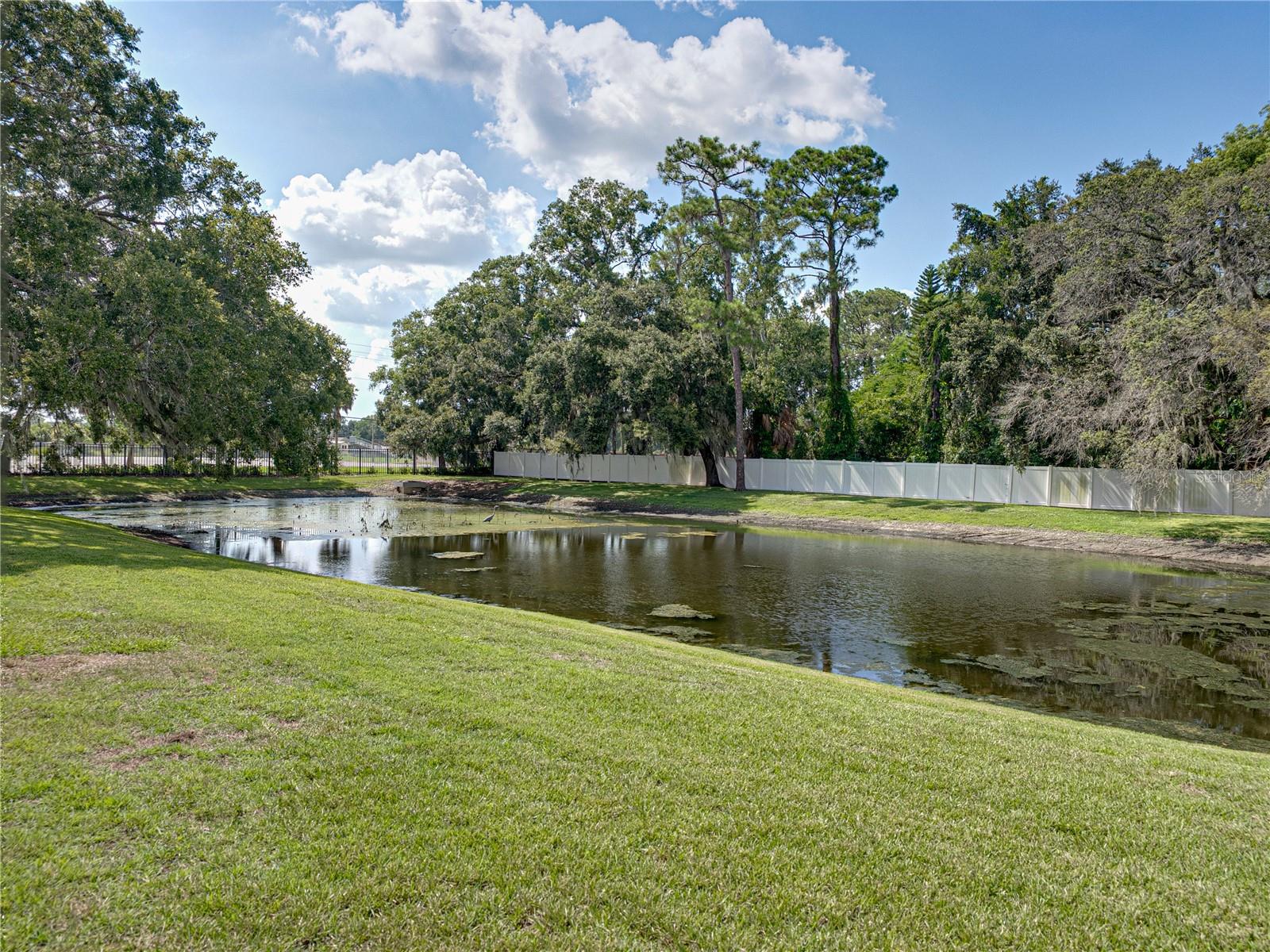 Image 21 of 47 For 258 Alexander Woods Drive