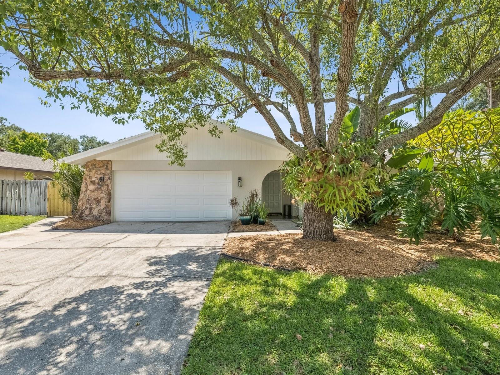 Details for 1864 Brae Moor Drive, DUNEDIN, FL 34698