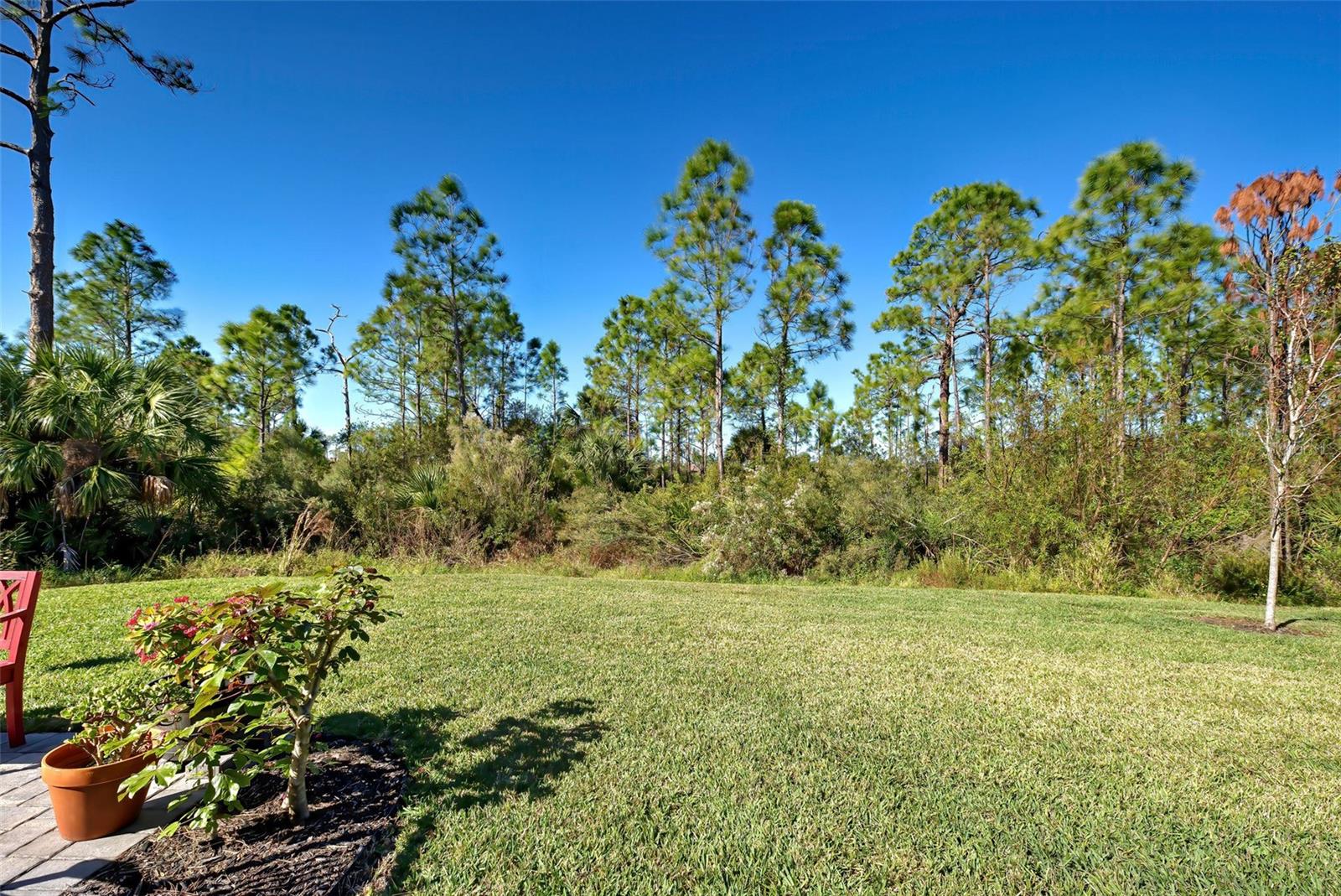 Image 2 of 26 For 451 Daylily Boulevard