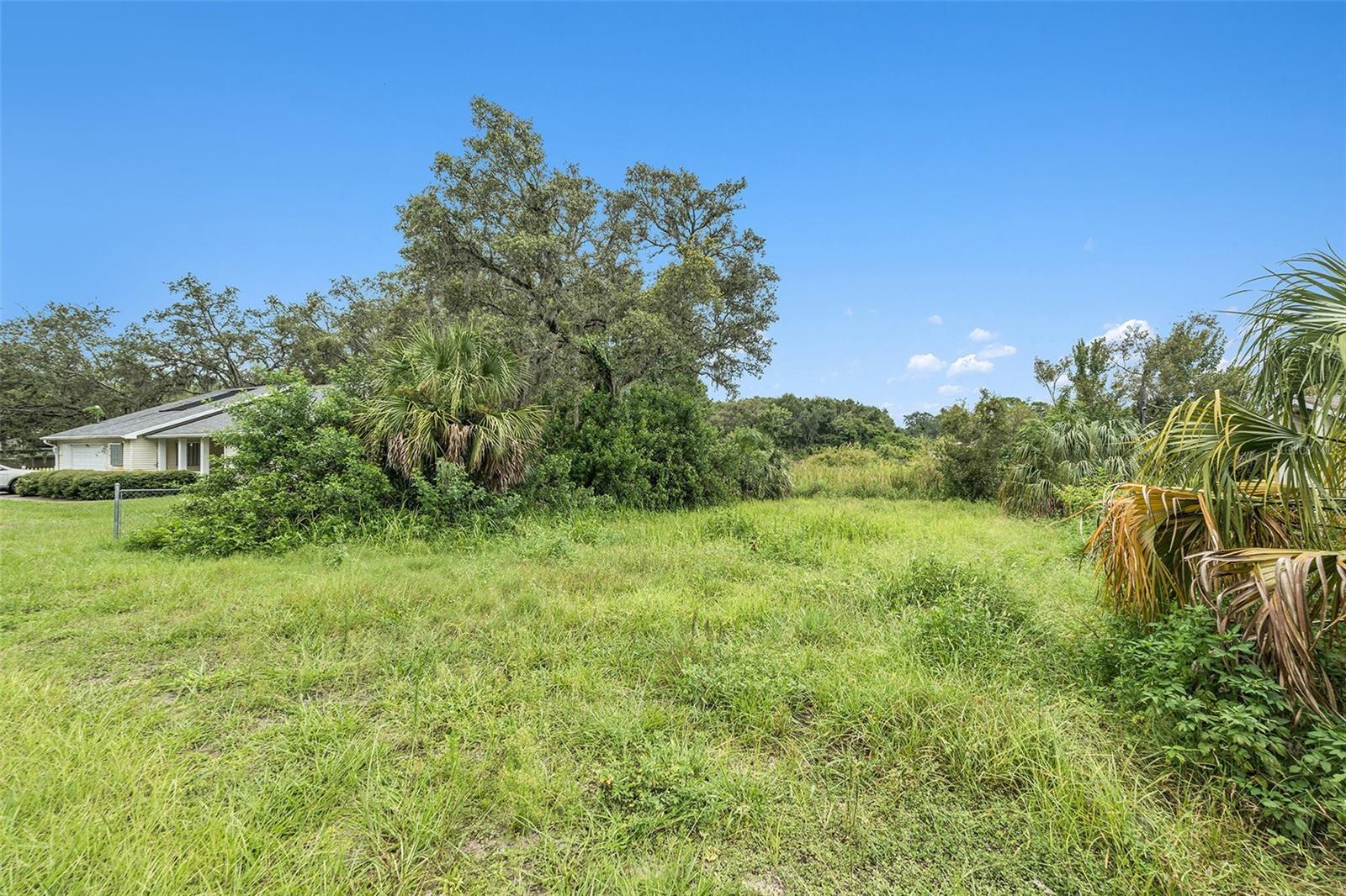 Image 8 of 10 For 12236 Terra Ceia Avenue