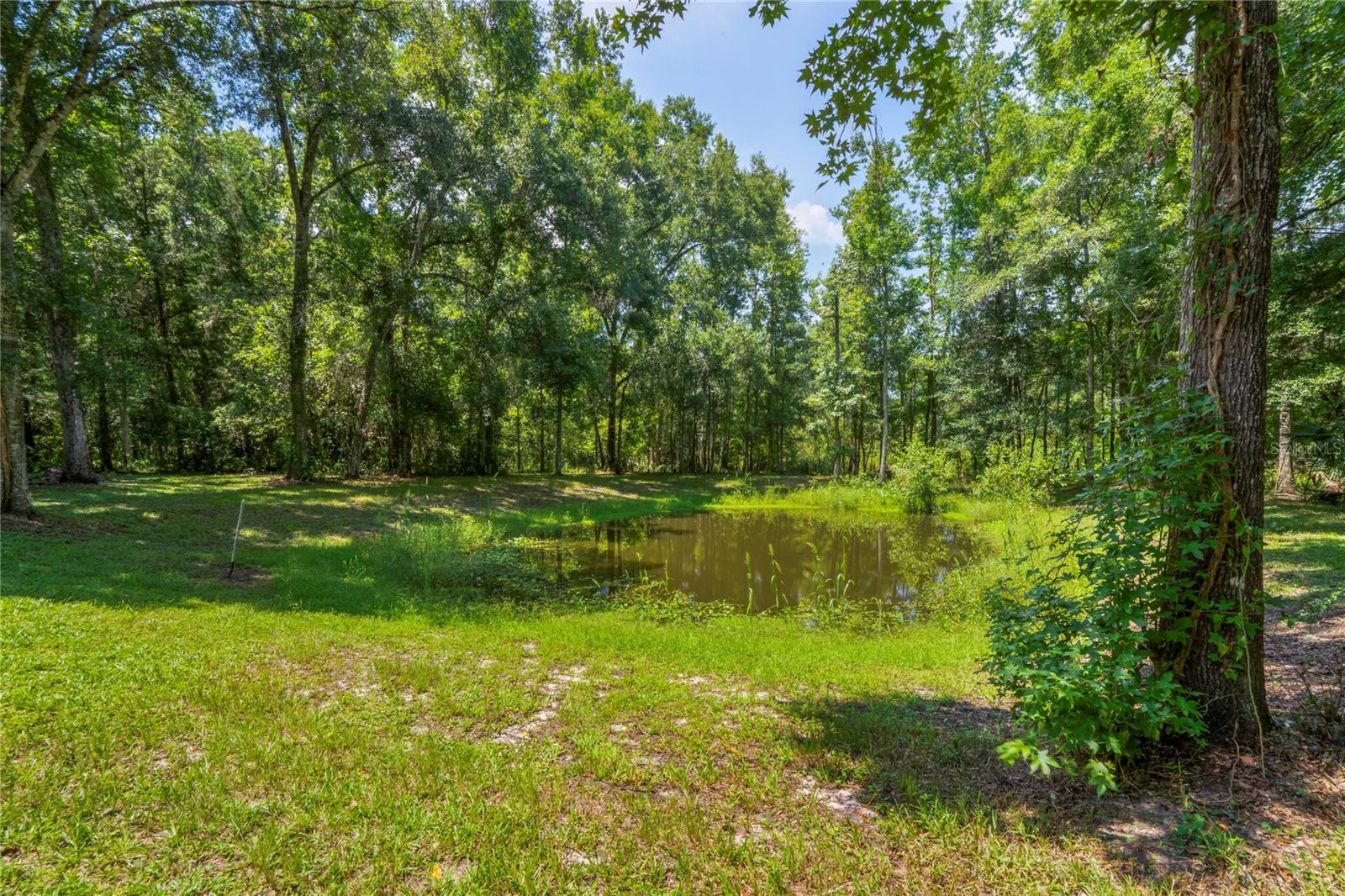 Image 36 of 55 For 19353 Campground Road
