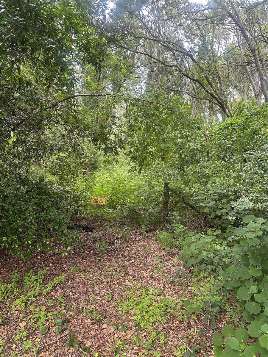 Image 6 of 9 For 224 Old Mulrennan Road