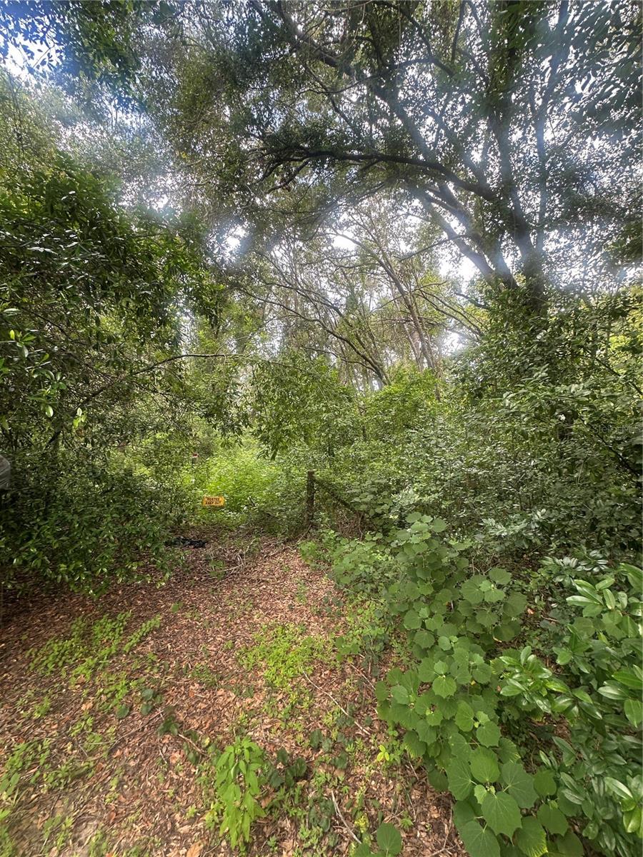 Image 7 of 9 For 224 Old Mulrennan Road