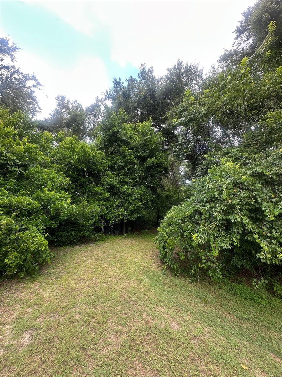 Image 8 of 9 For 224 Old Mulrennan Road