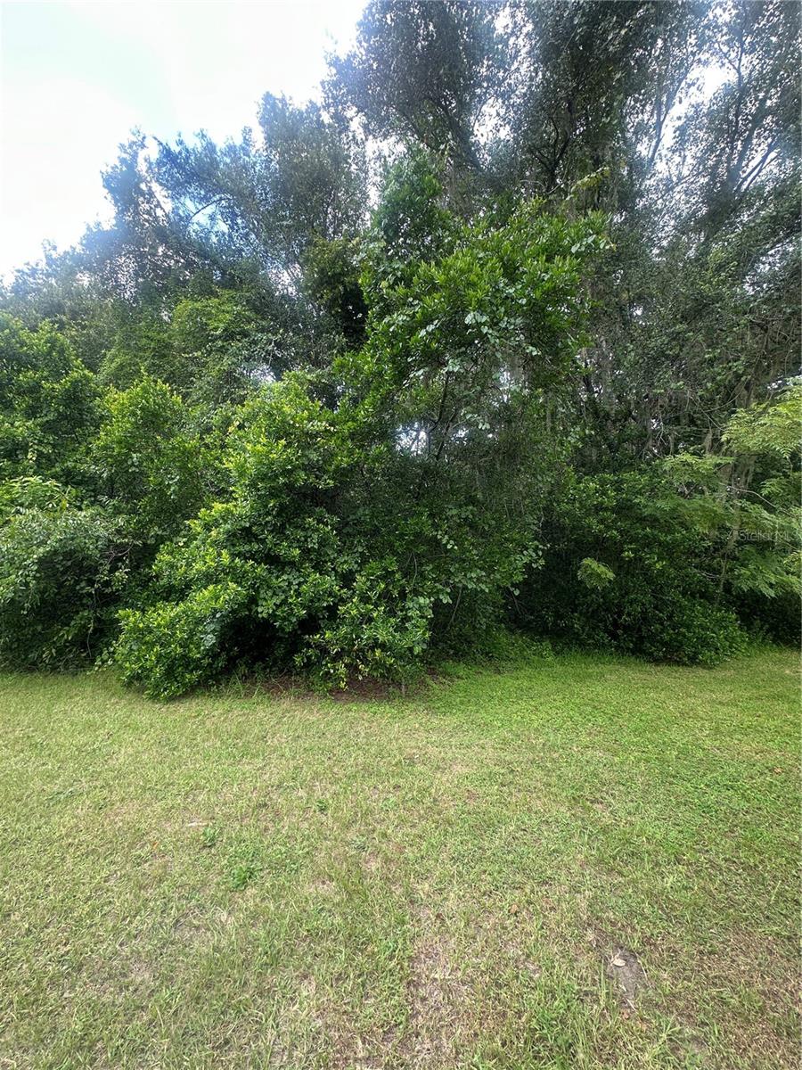 Image 9 of 9 For 224 Old Mulrennan Road