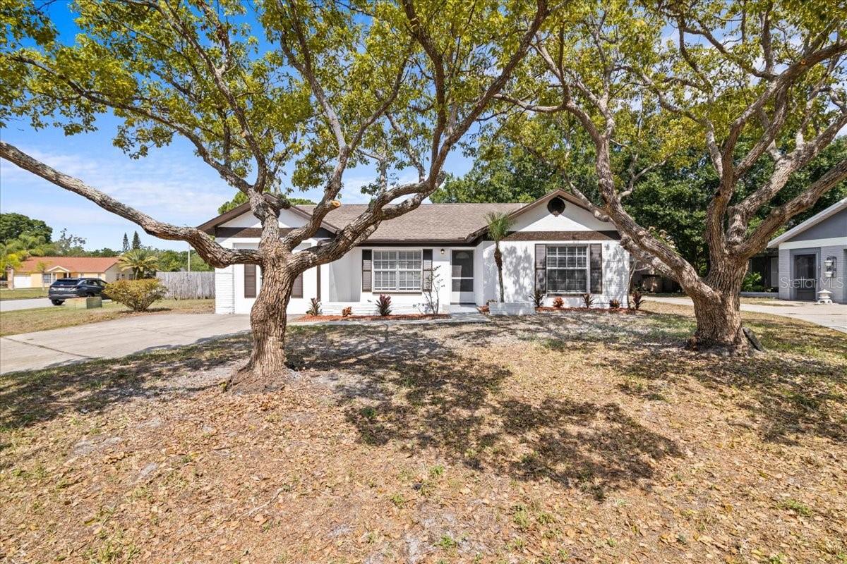 Details for 1912 Castle Bay Court, OLDSMAR, FL 34677