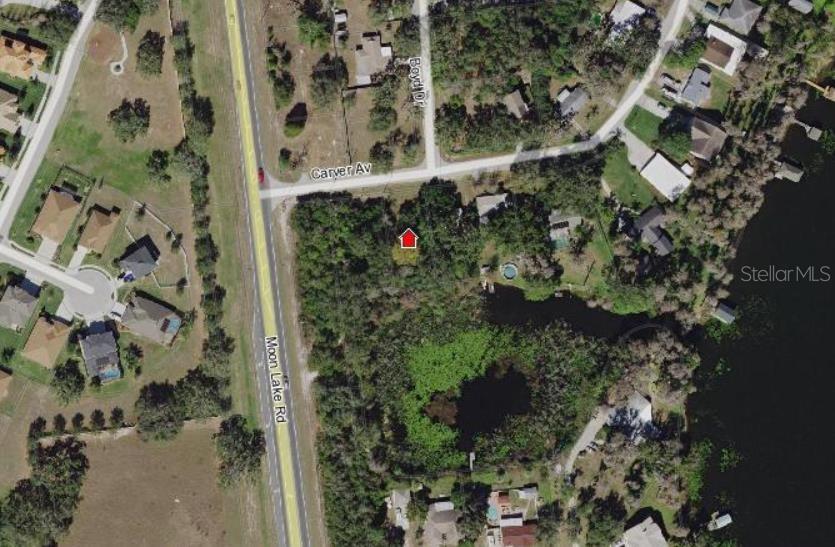 Details for  Carver  , NEW PORT RICHEY, FL 34654