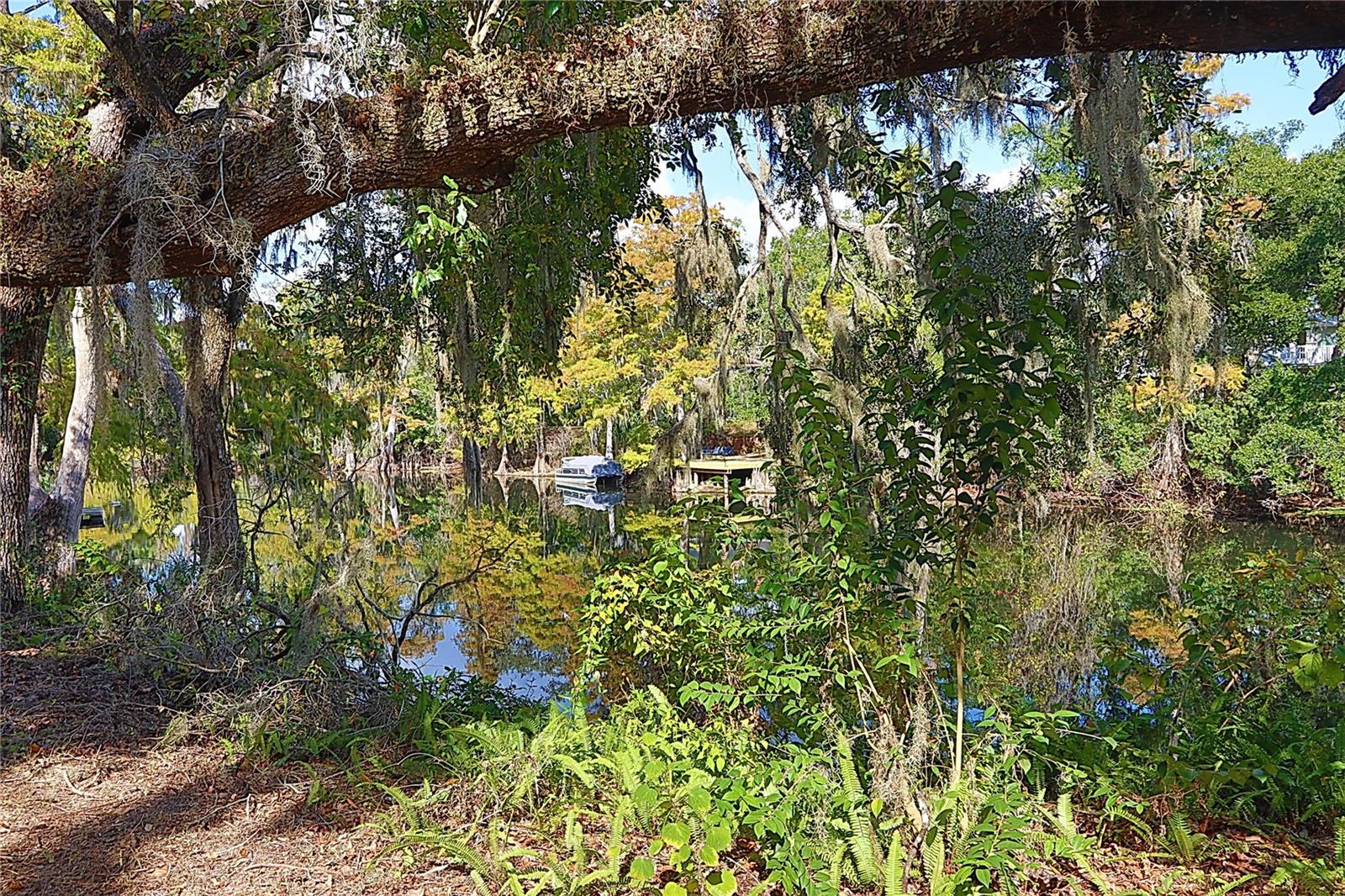 Image 30 of 32 For 12025 Riverhills Drive